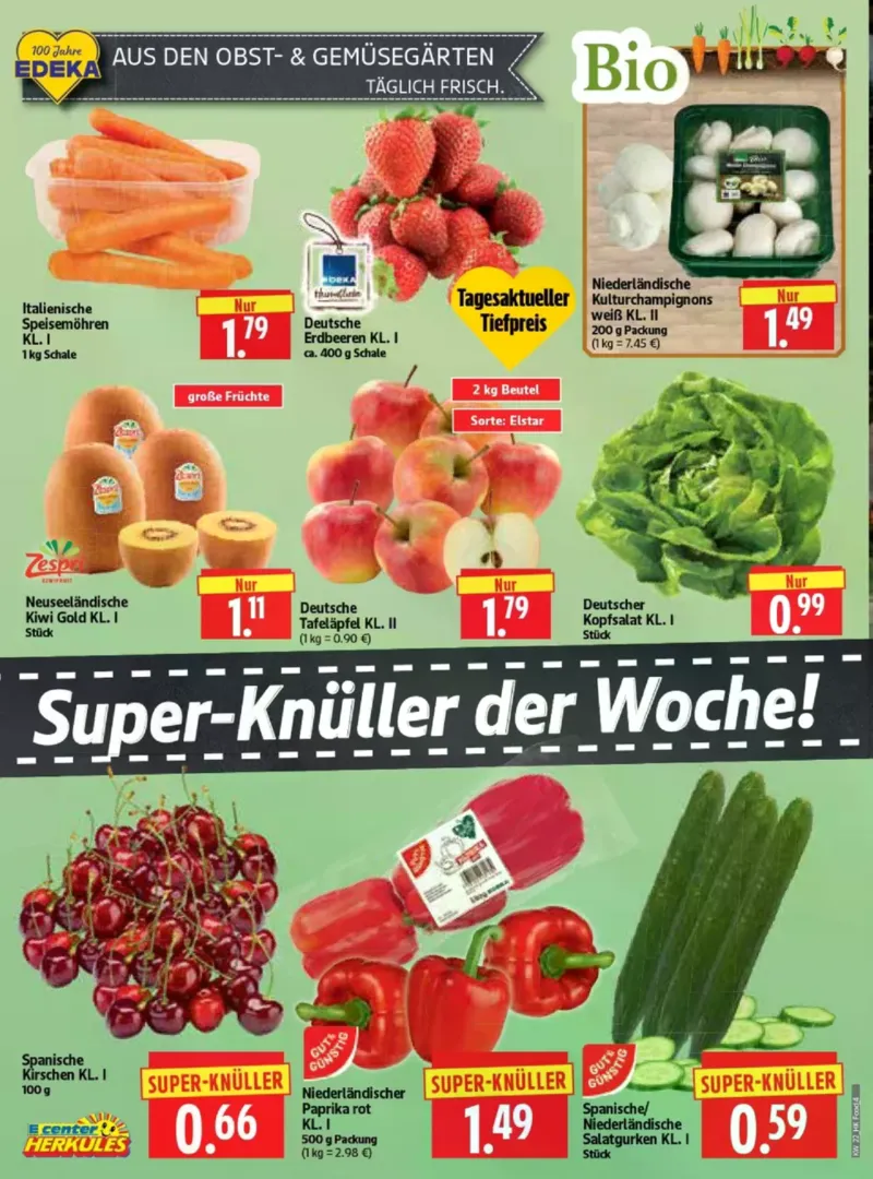 Herkules Prospekt vom 26.05.2026, Seite 4