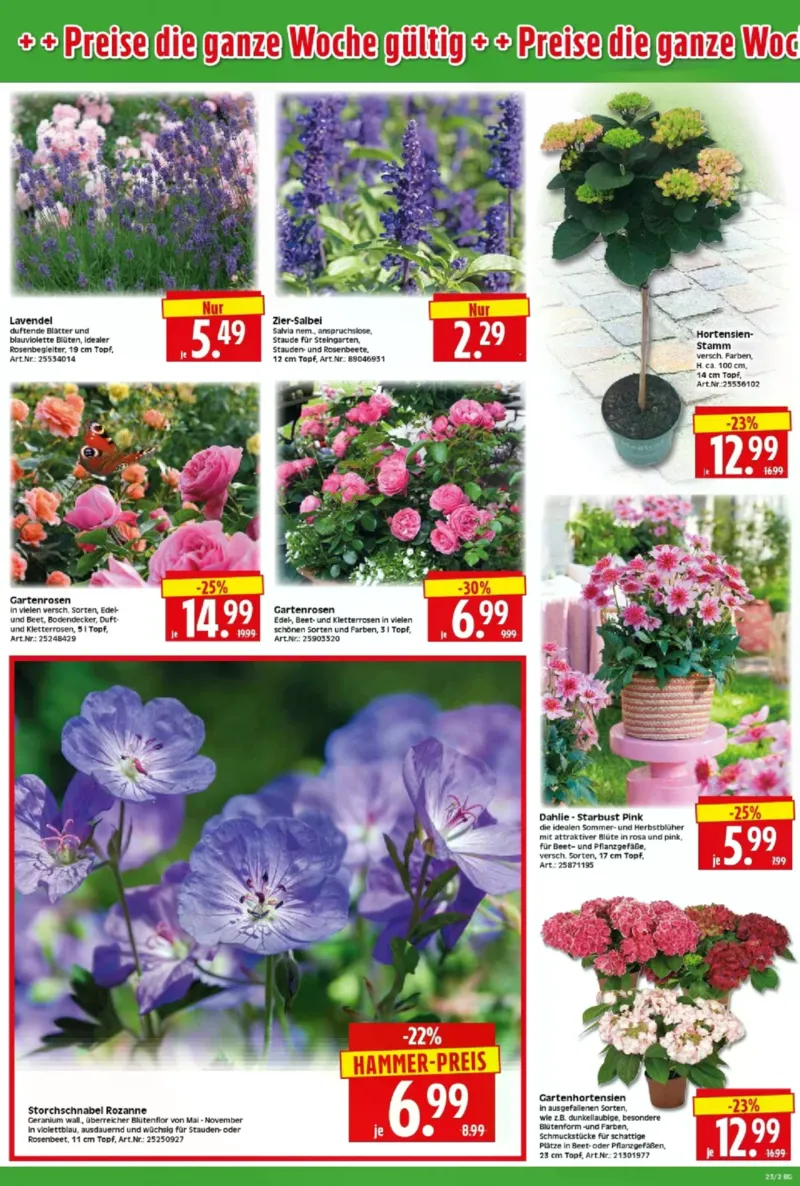 Herkules Baumarkt Prospekt vom 01.06.2026, Seite 2