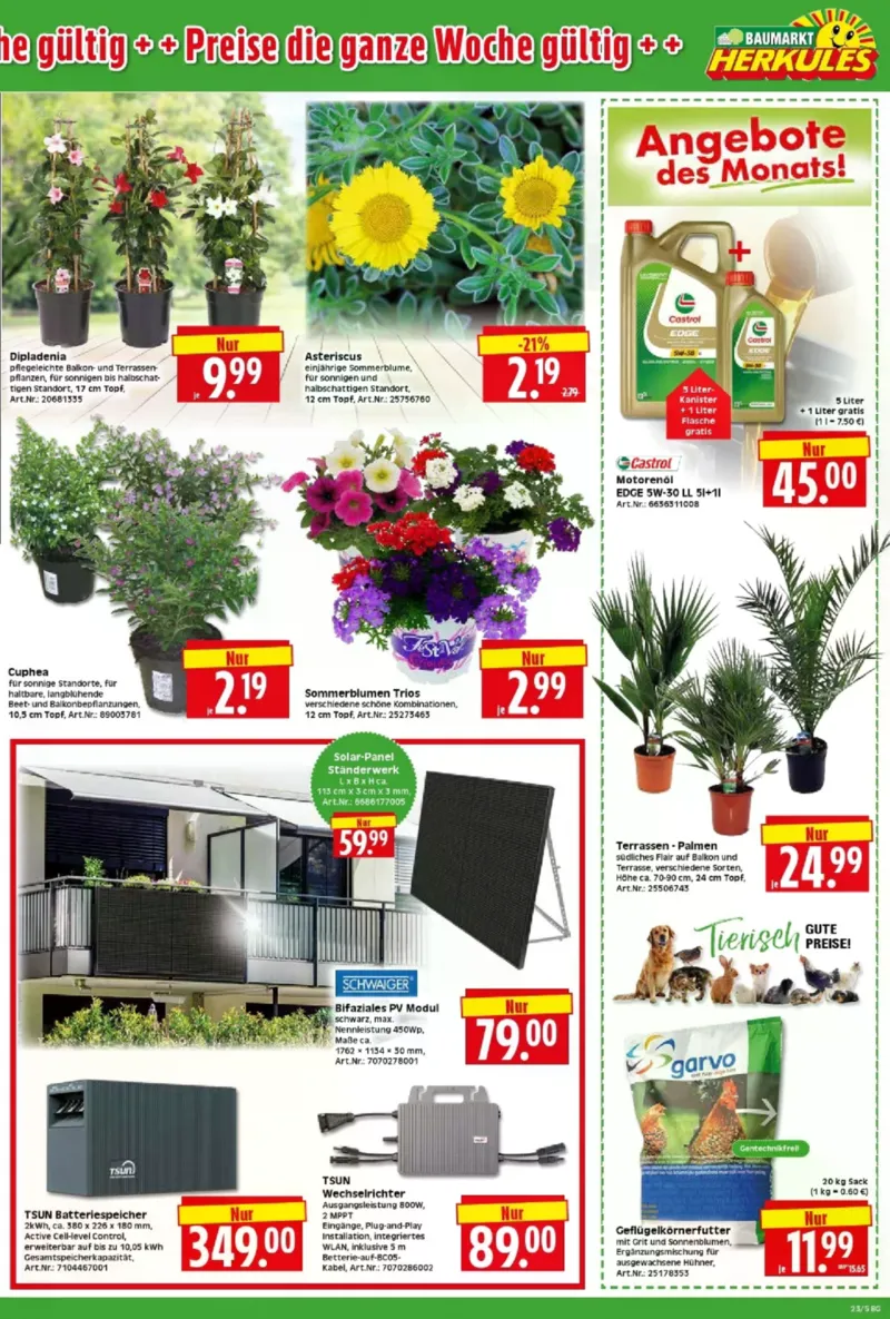 Herkules Baumarkt Prospekt vom 01.06.2026, Seite 5