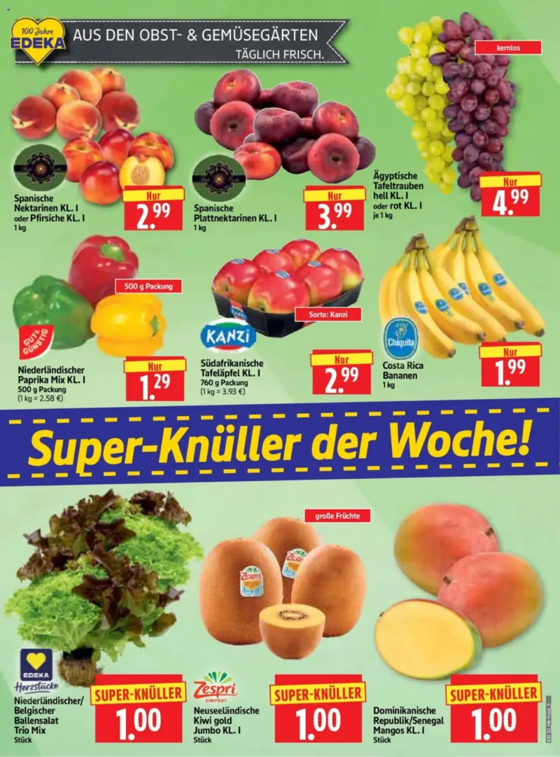 Herkules Prospekt vom 03.08.2026, Seite 5