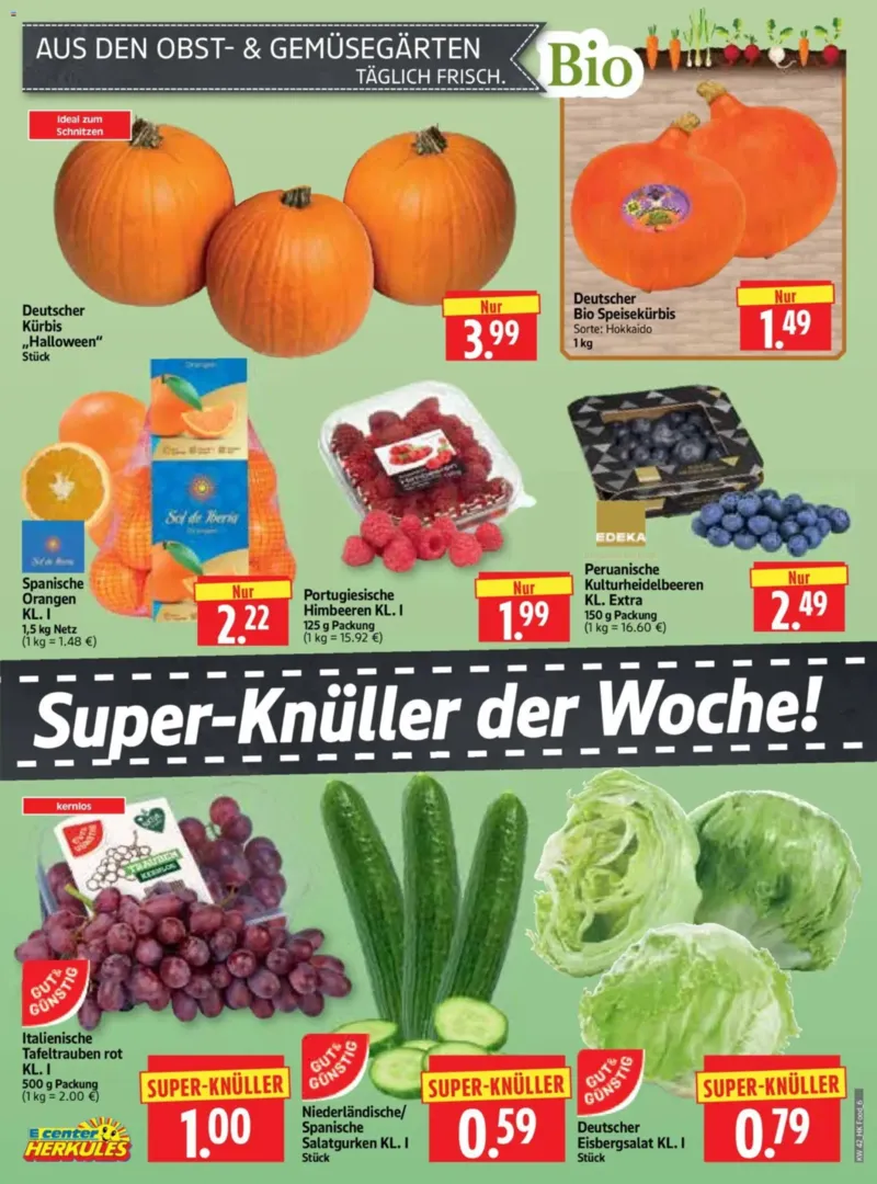 Herkules Prospekt vom 12.10.2026, Seite 6
