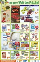 inkoop Prospekt vom 28.07.2025
