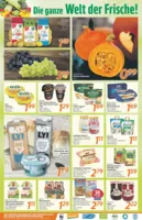 inkoop Prospekt vom 27.10.2025