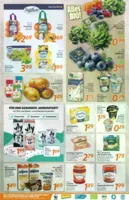 inkoop Prospekt vom 26.01.2026