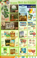 inkoop Prospekt vom 09.03.2026