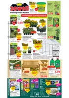 Jawoll Prospekt nächster Woche