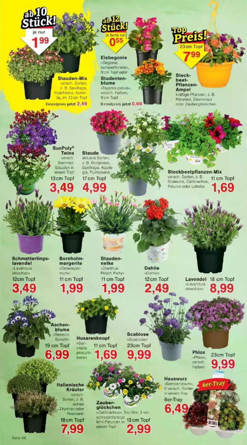 Jawoll Prospekt vom 07.04.2026, Seite 12