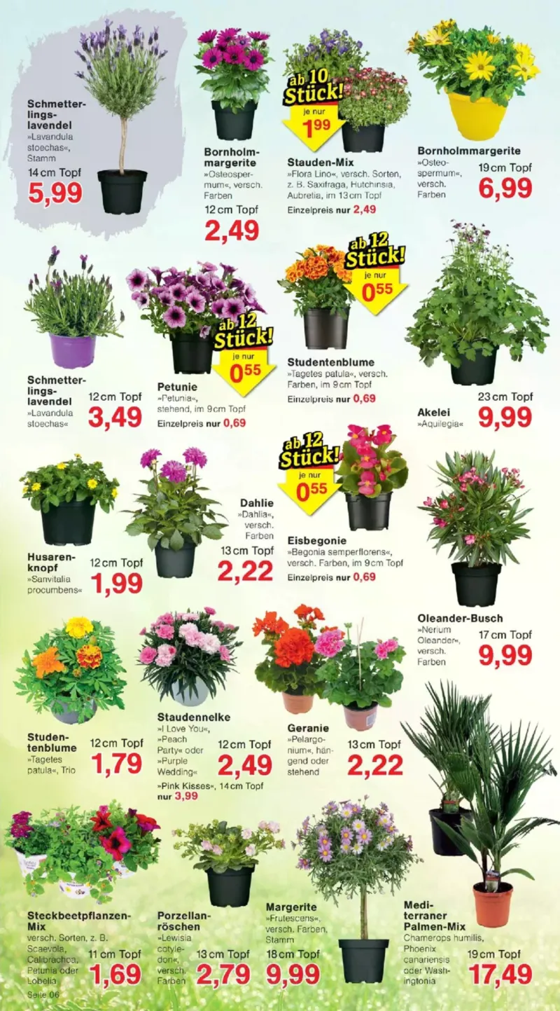 Jawoll Prospekt vom 27.04.2026, Seite 6