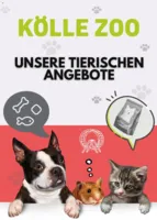 Kölle Zoo Prospekt vom 12.05.2025