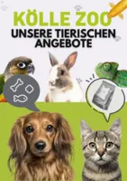 Kölle Zoo Prospekt vom 07.08.2025