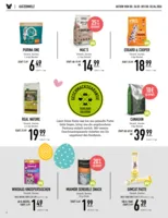 Kölle Zoo Prospekt vom 26.03.2026