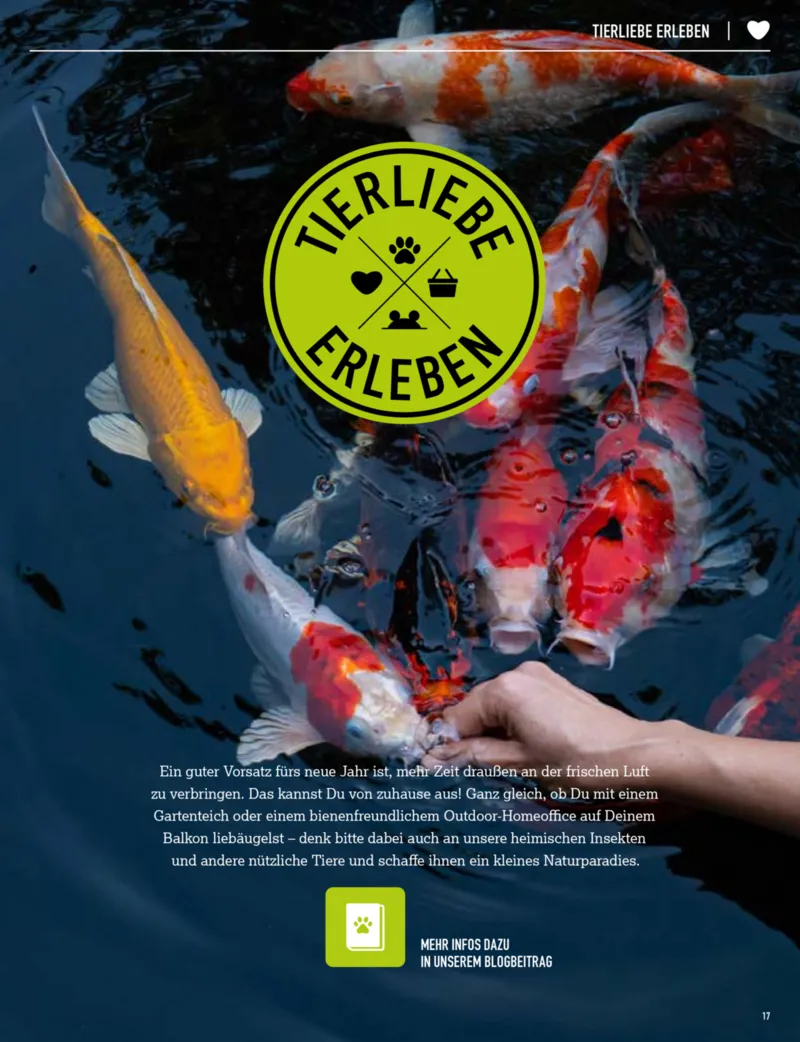 Kölle Zoo Prospekt vom 30.04.2026, Seite 17