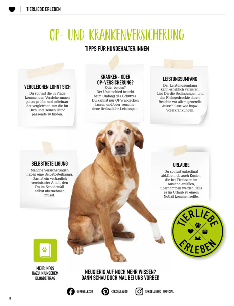 Kölle Zoo Prospekt vom 30.04.2026, Seite 18