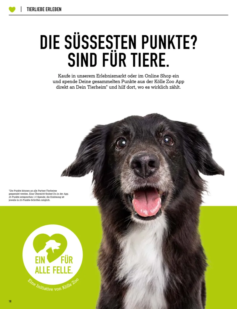 Kölle Zoo Prospekt vom 29.10.2026, Seite 18