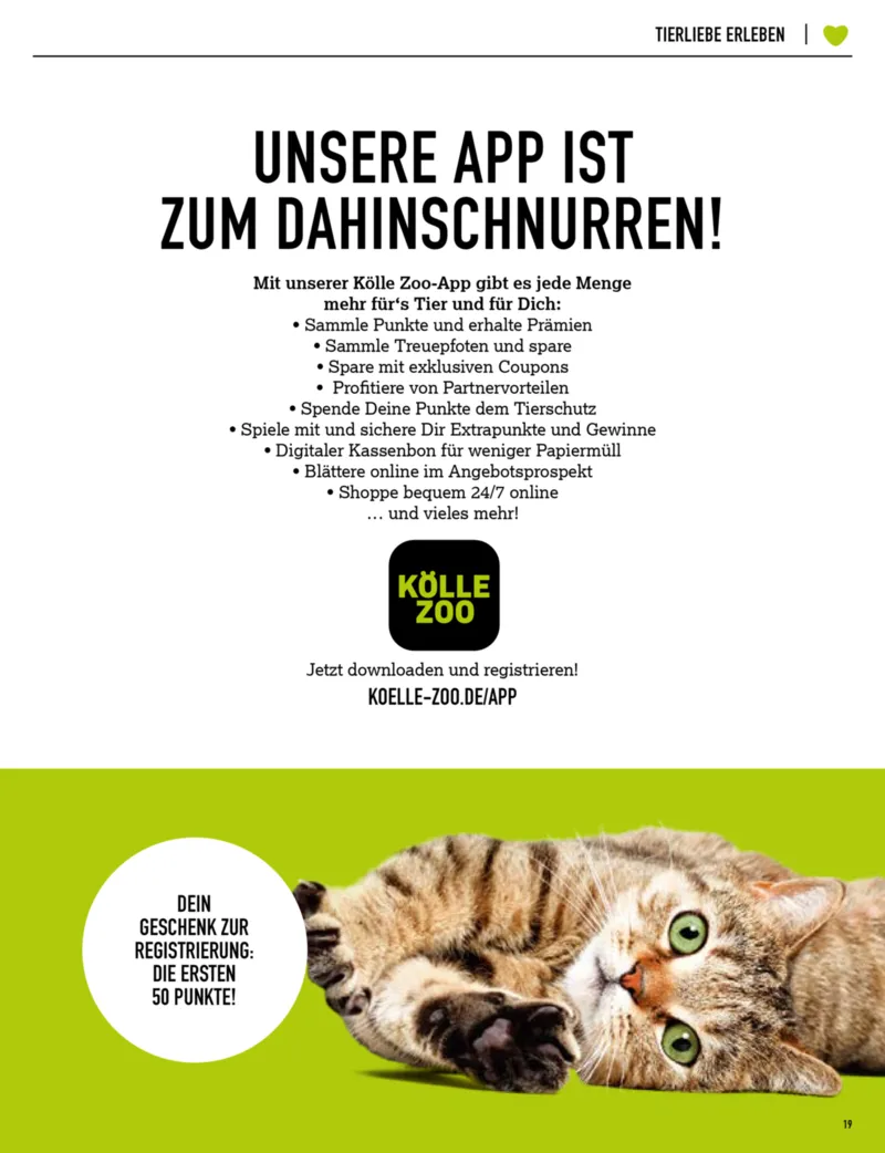 Kölle Zoo Prospekt vom 29.10.2026, Seite 19