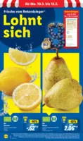 Lidl Prospekt vom 10.03.2025