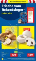 Lidl Prospekt vom 18.08.2025