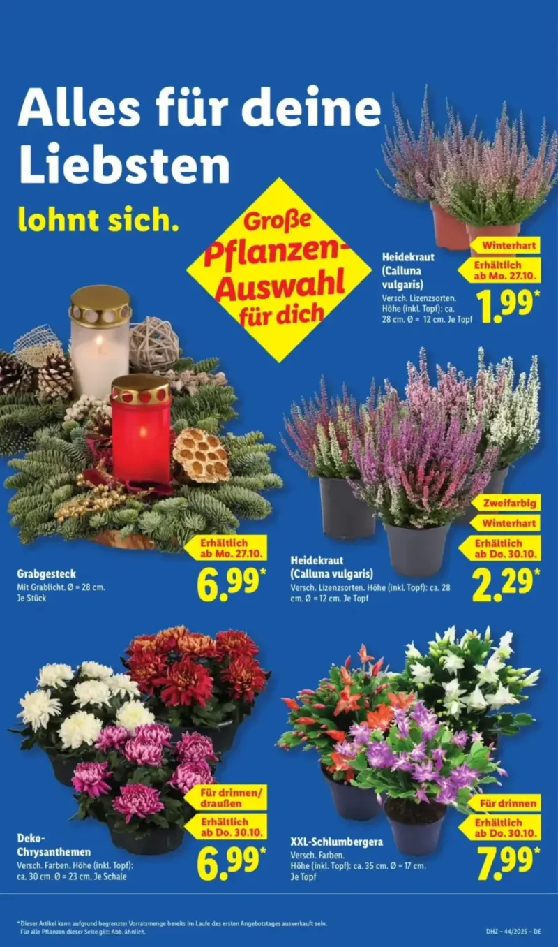 Lidl Prospekt vom 27.10.2025, Seite 9