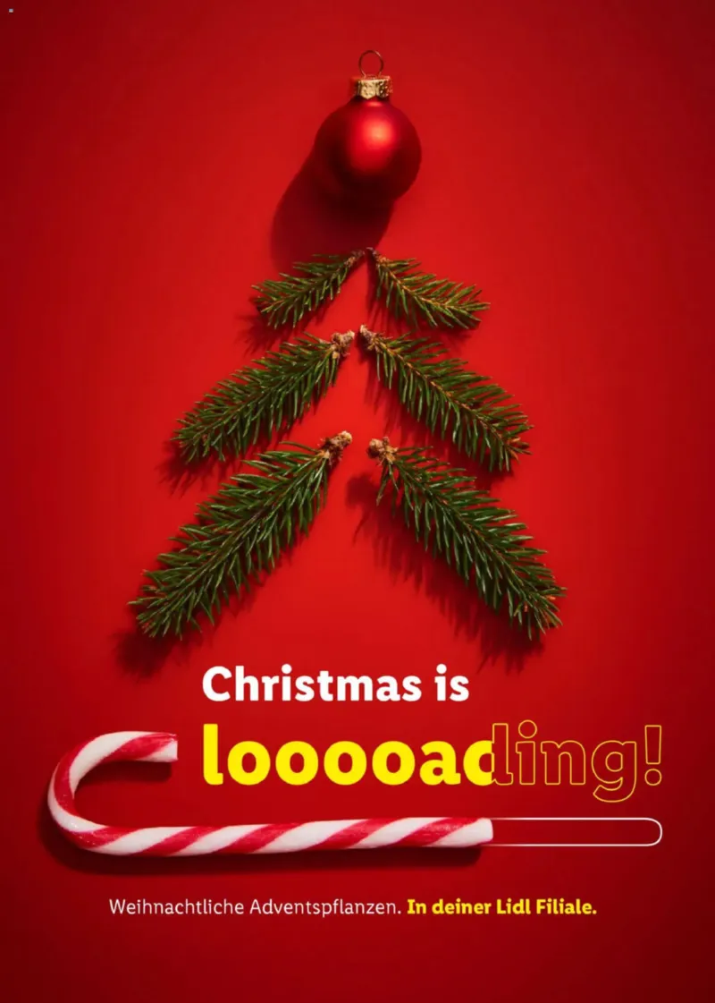 Lidl Prospekt vom 31.10.2025, Seite 12