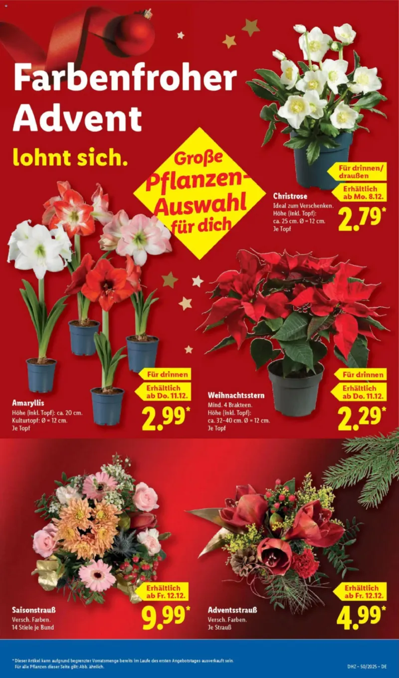 Lidl Prospekt vom 08.12.2025, Seite 21
