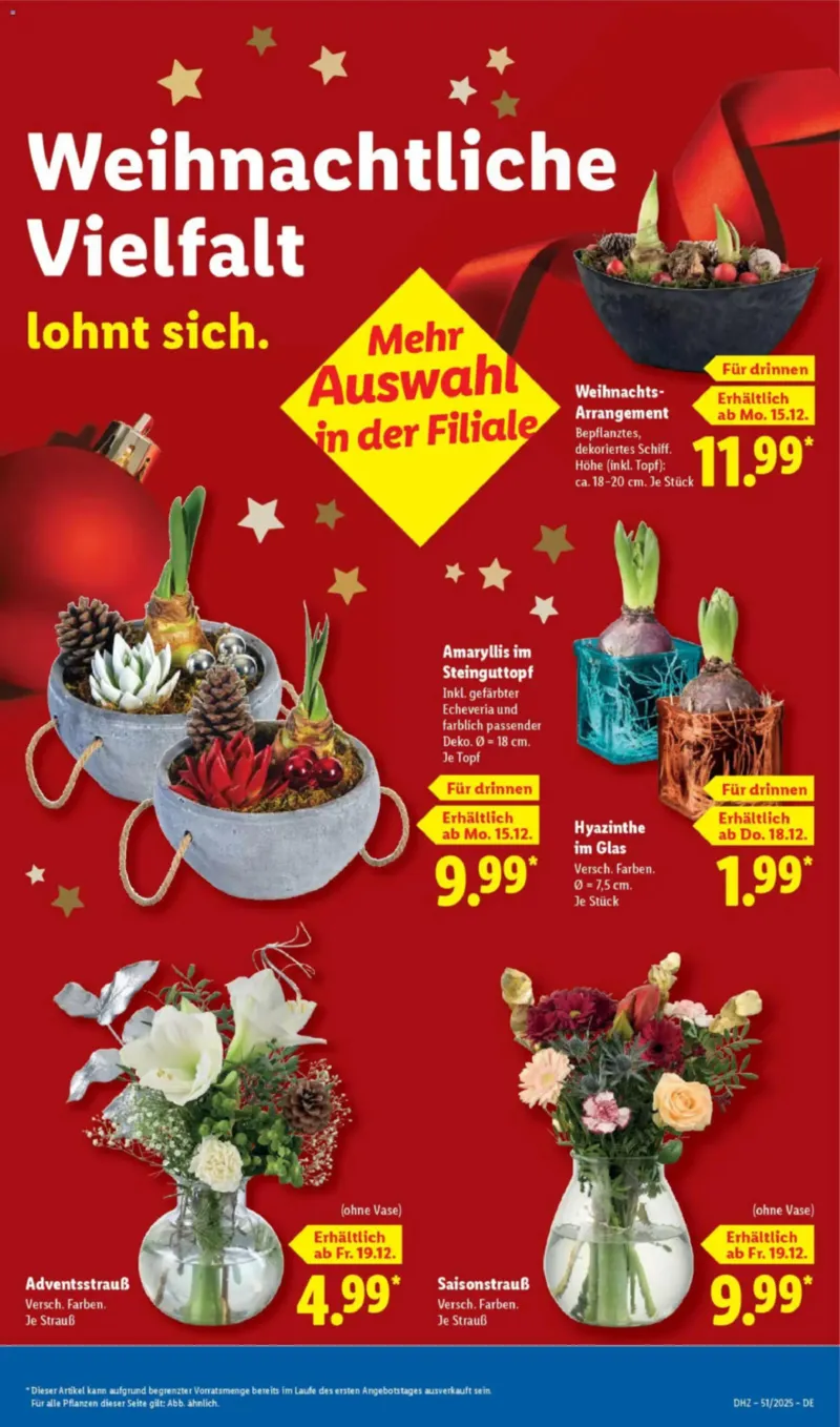 Lidl Prospekt vom 15.12.2025, Seite 13