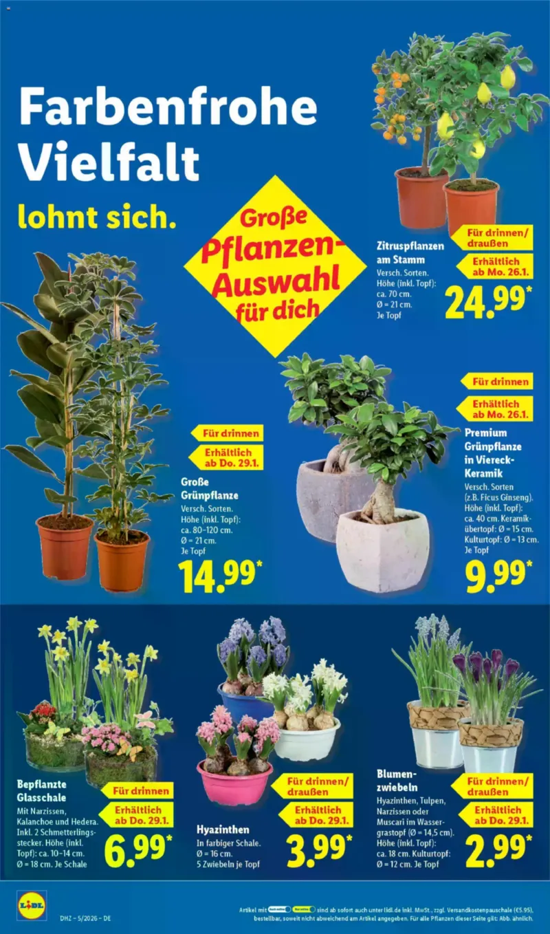 Lidl Prospekt vom 26.01.2026, Seite 16