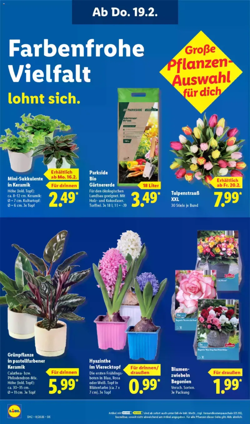 Lidl Prospekt vom 16.02.2026, Seite 24