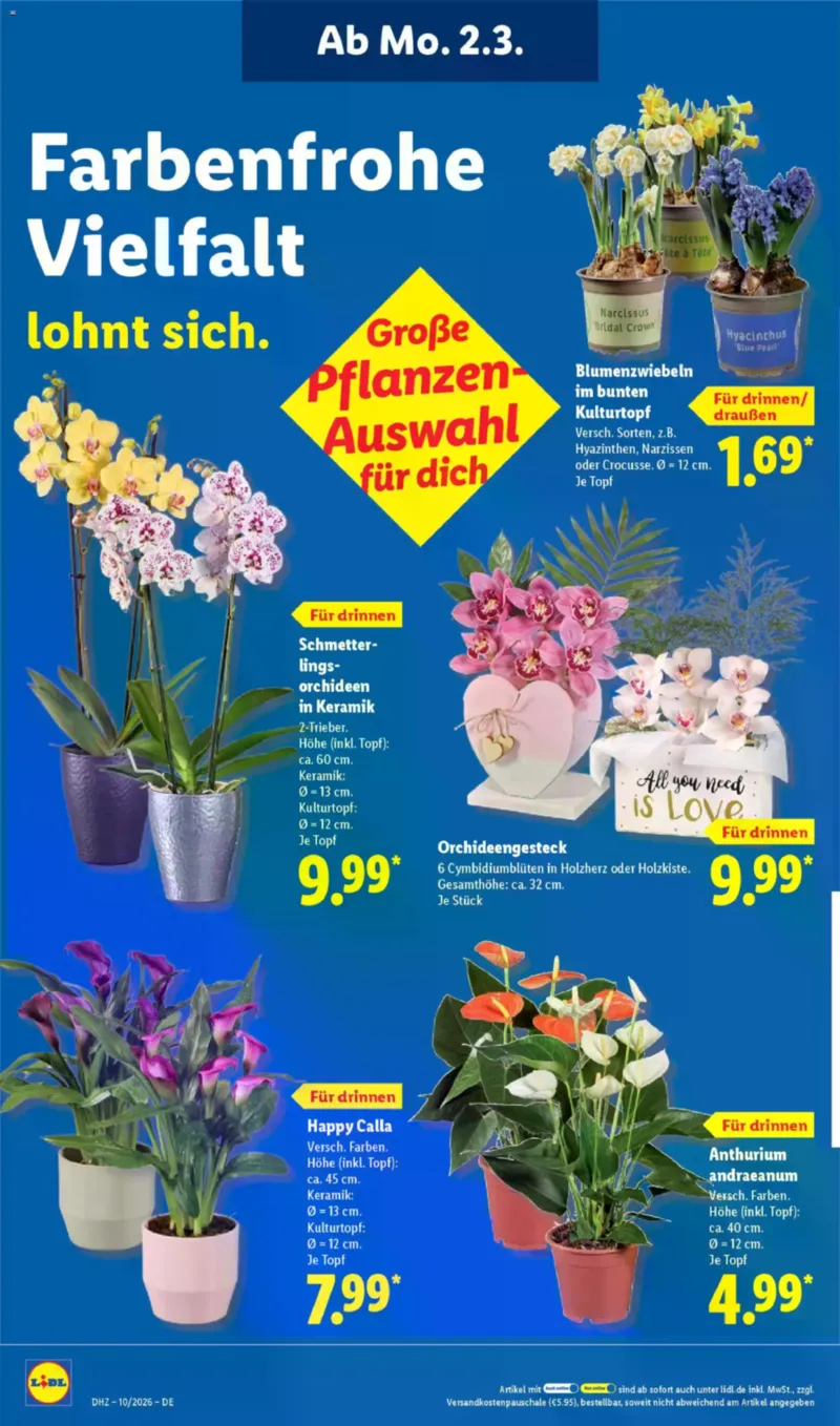 Lidl Prospekt vom 02.03.2026, Seite 20
