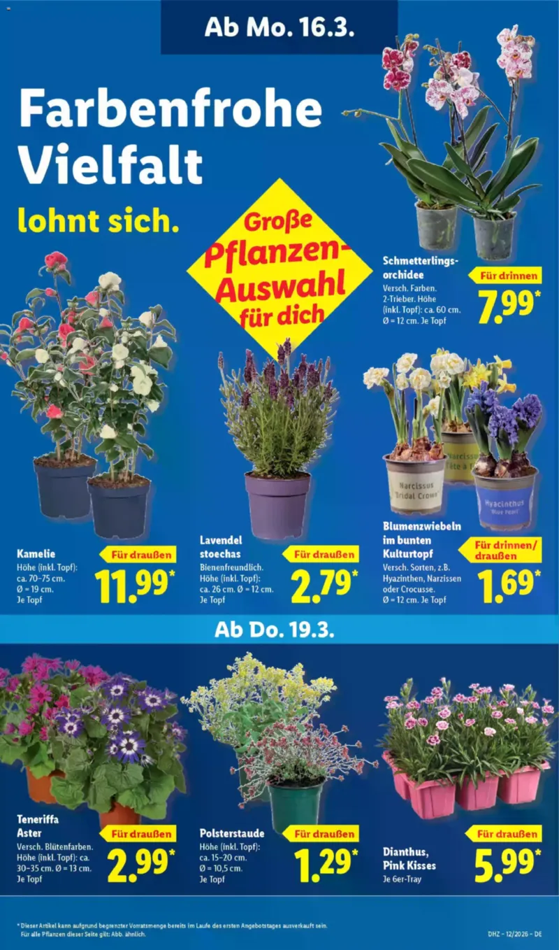 Lidl Prospekt vom 16.03.2026, Seite 67