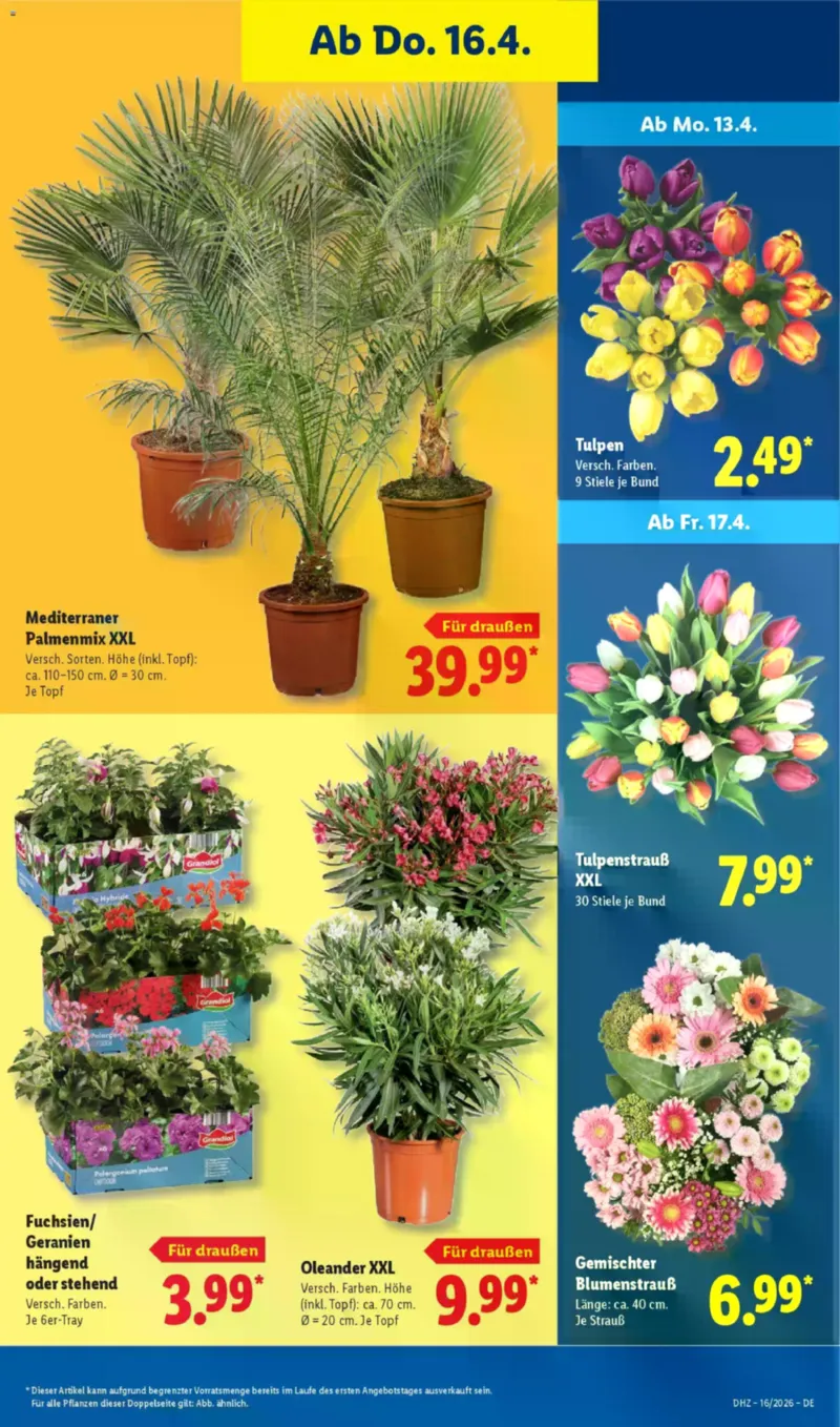 Lidl Prospekt vom 13.04.2026, Seite 69