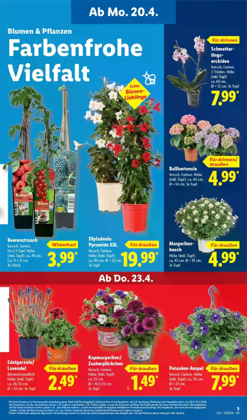 Lidl Prospekt vom 20.04.2026, Seite 11