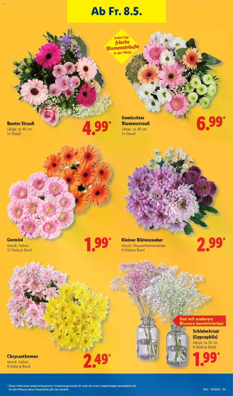 Lidl Prospekt vom 04.05.2026, Seite 13