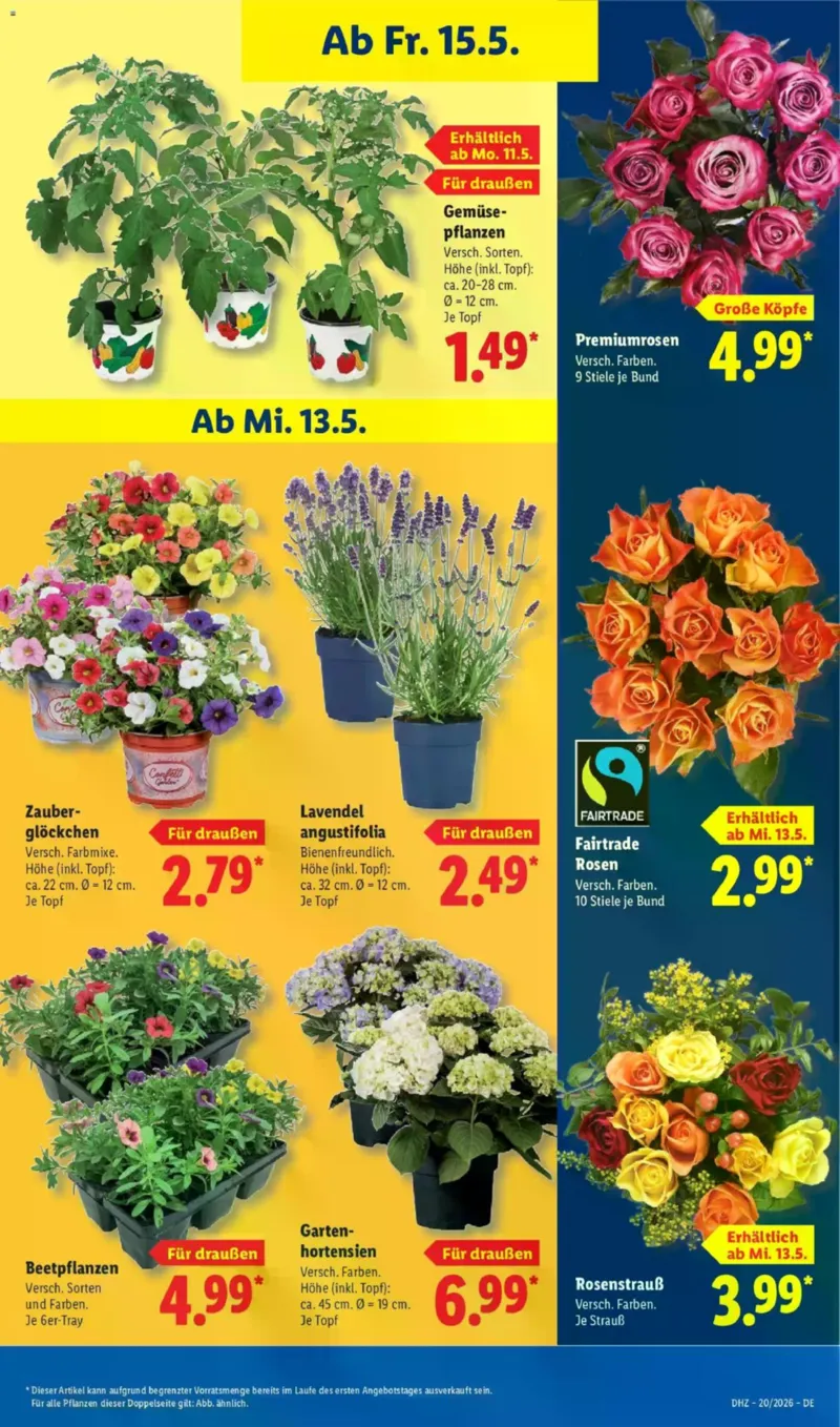 Lidl Prospekt vom 11.05.2026, Seite 71