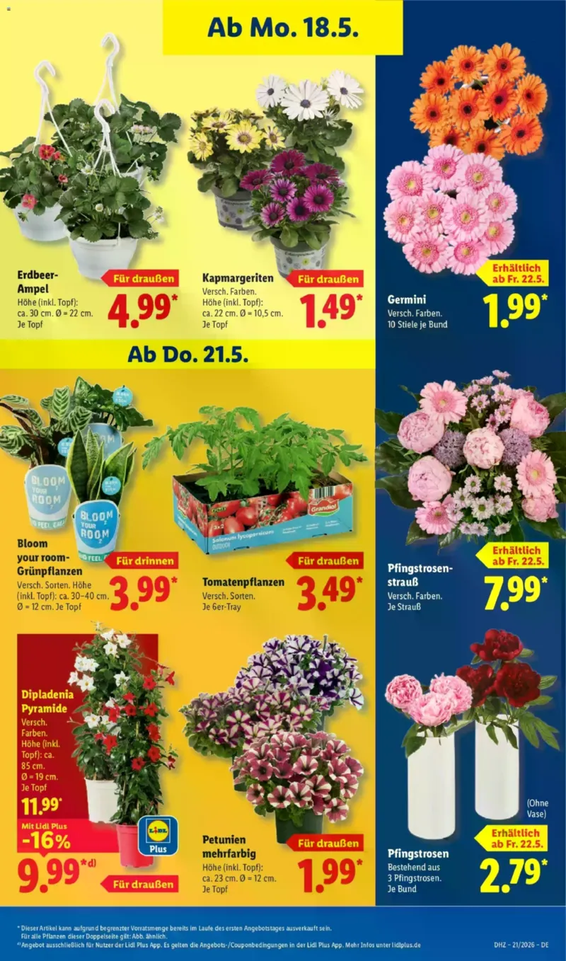 Lidl Prospekt vom 18.05.2026, Seite 71