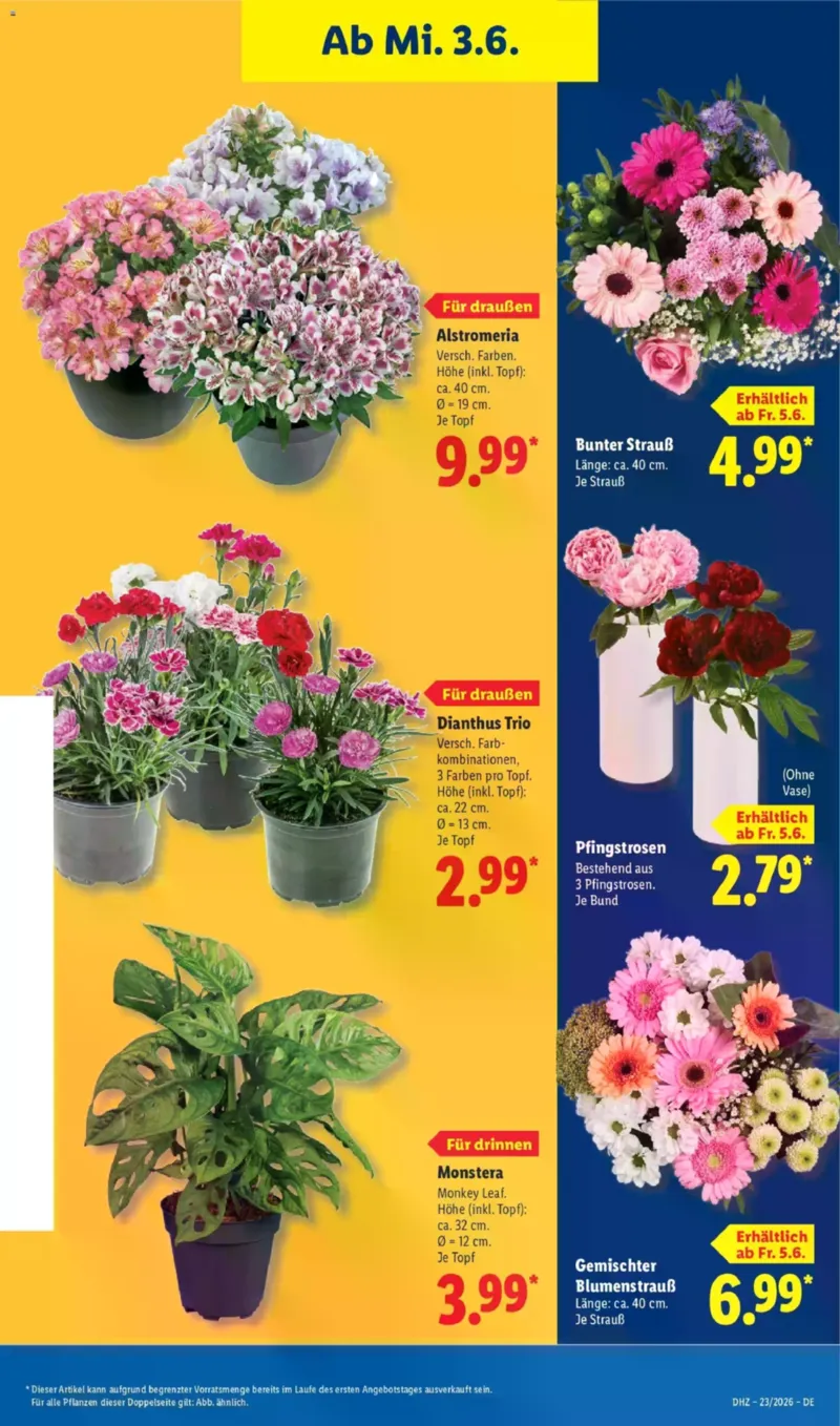 Lidl Prospekt vom 01.06.2026, Seite 69