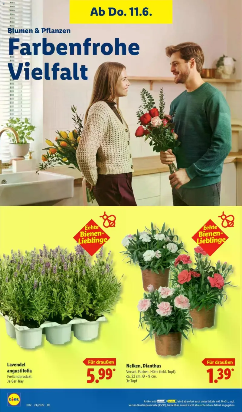 Lidl Prospekt vom 08.06.2026, Seite 68