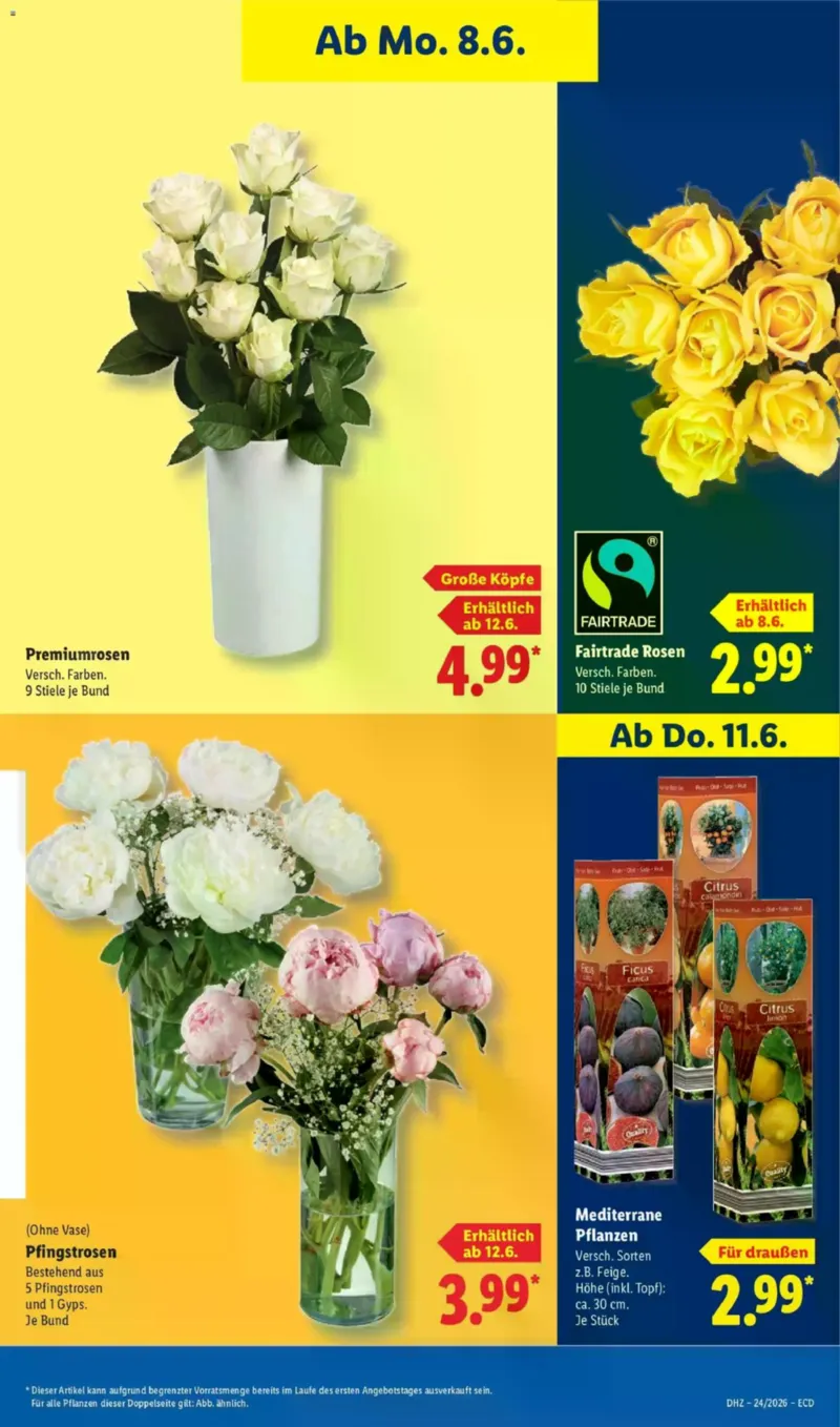 Lidl Prospekt vom 08.06.2026, Seite 69