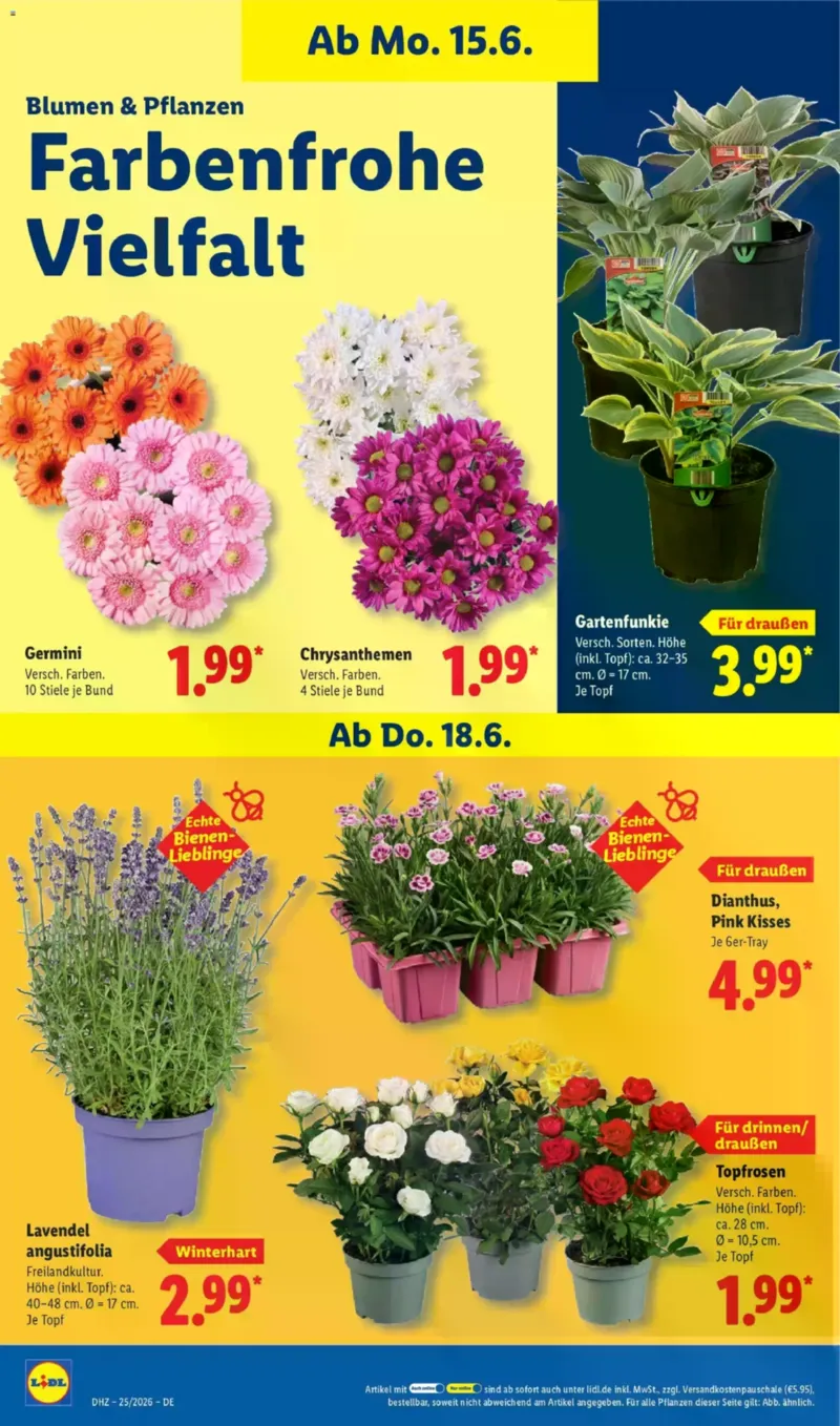 Lidl Prospekt vom 15.06.2026, Seite 70
