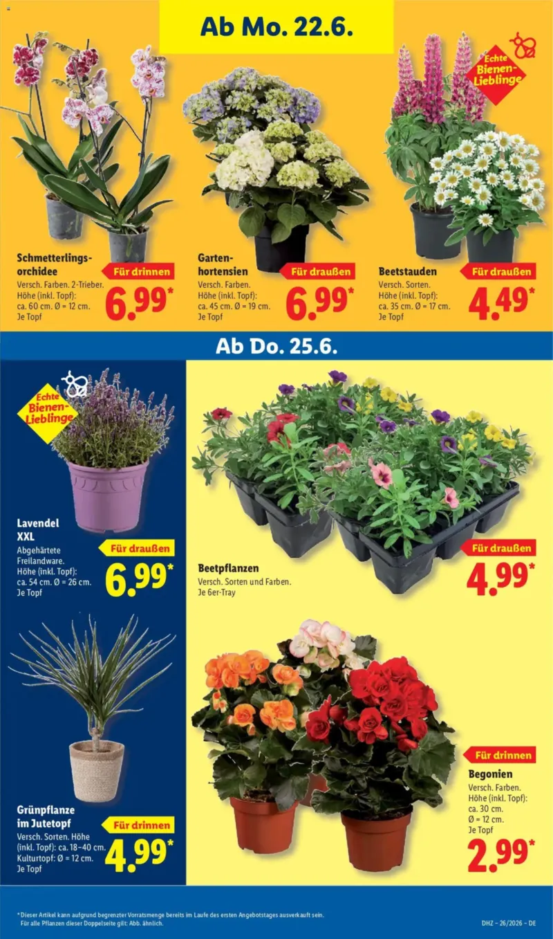 Lidl Prospekt vom 22.06.2026, Seite 69