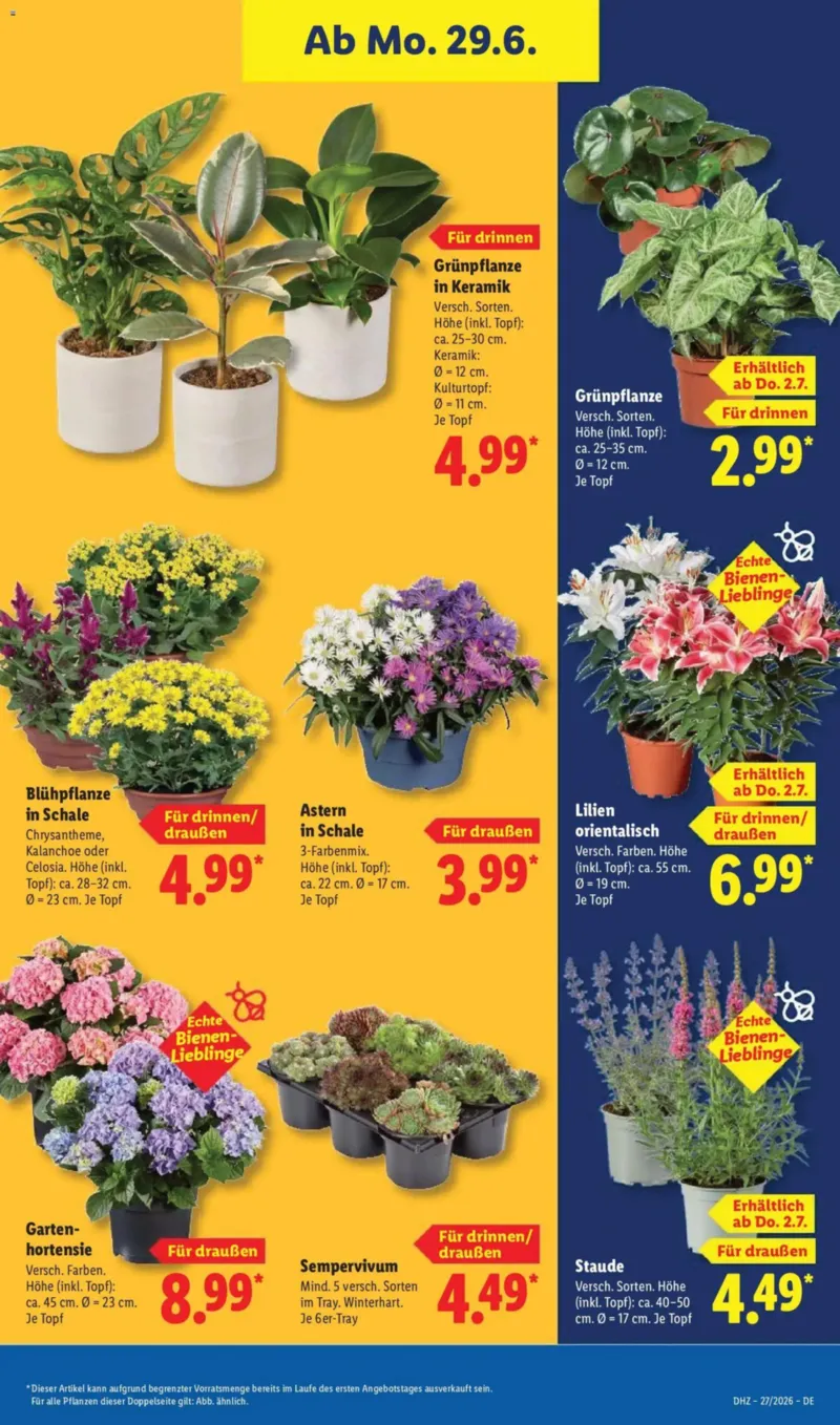 Lidl Prospekt vom 29.06.2026, Seite 35