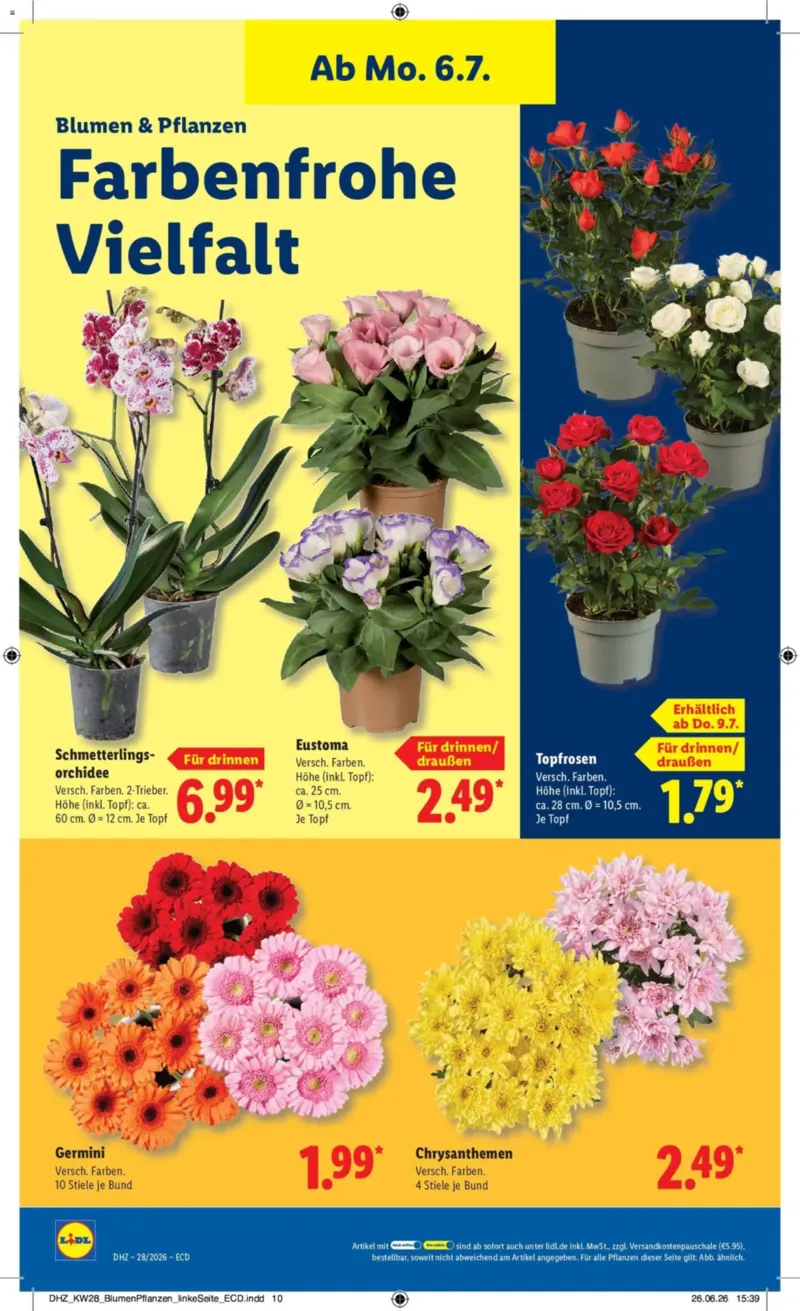 Lidl Prospekt vom 06.07.2026, Seite 22