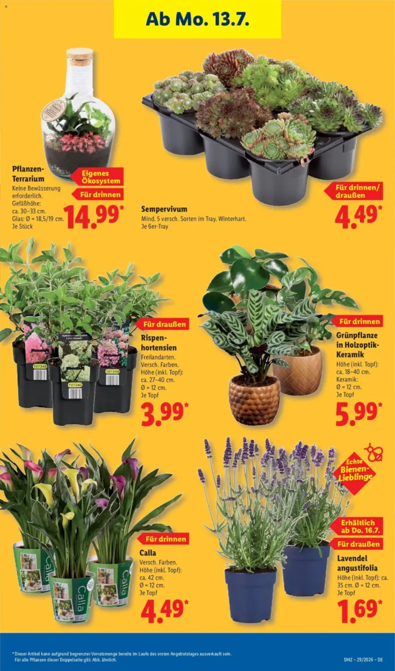Lidl Prospekt vom 13.07.2026, Seite 27