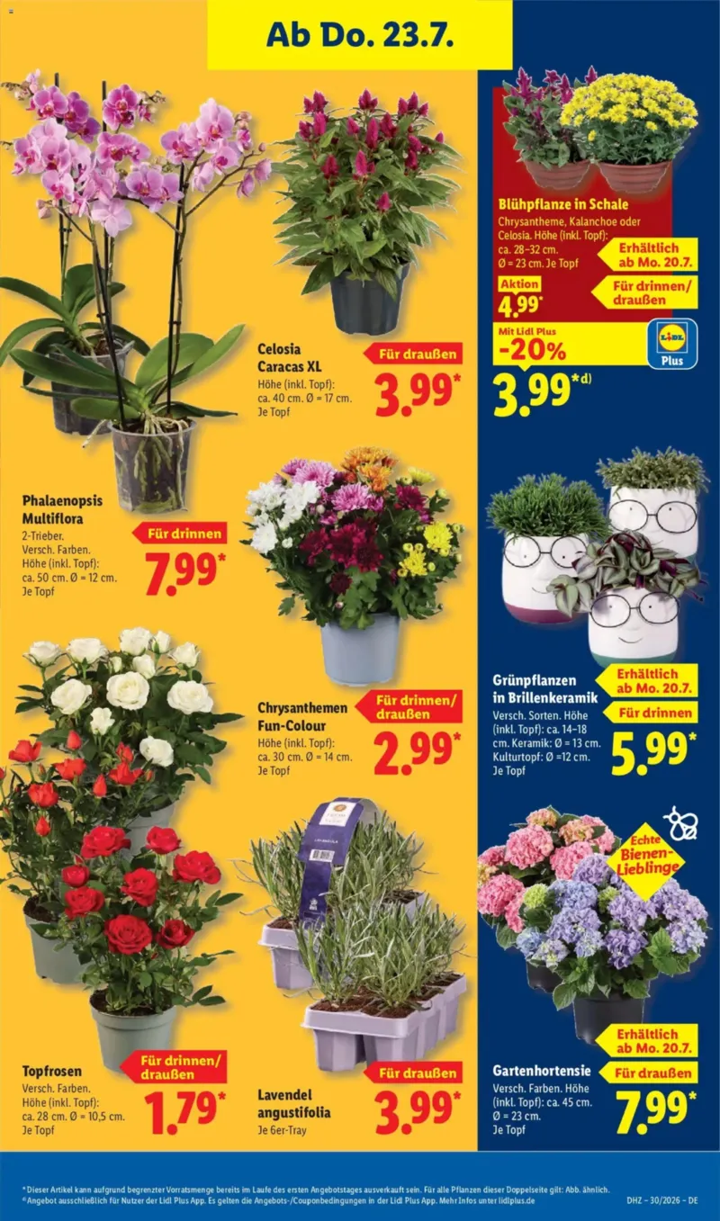 Lidl Prospekt vom 20.07.2026, Seite 29