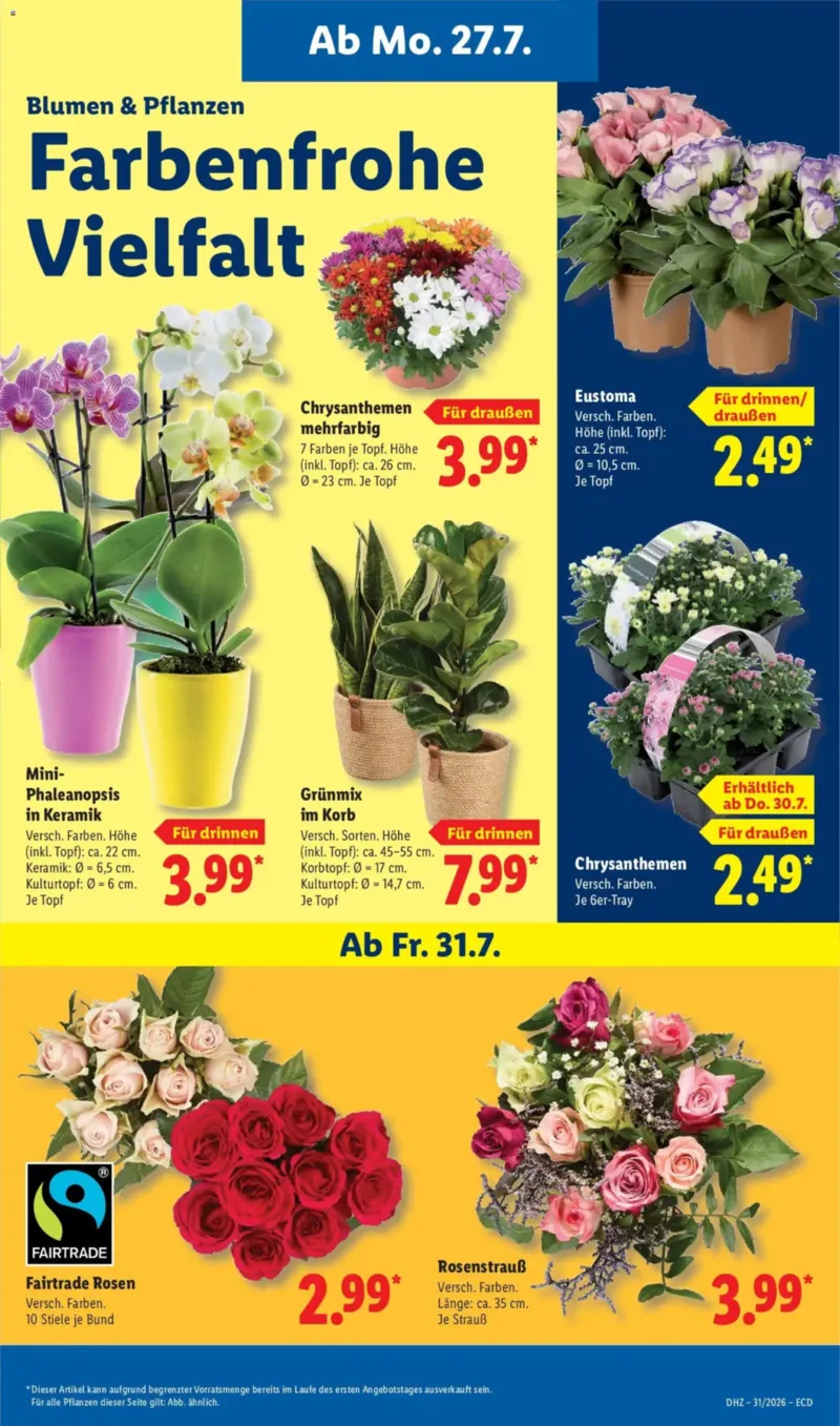 Lidl Prospekt vom 27.07.2026, Seite 7