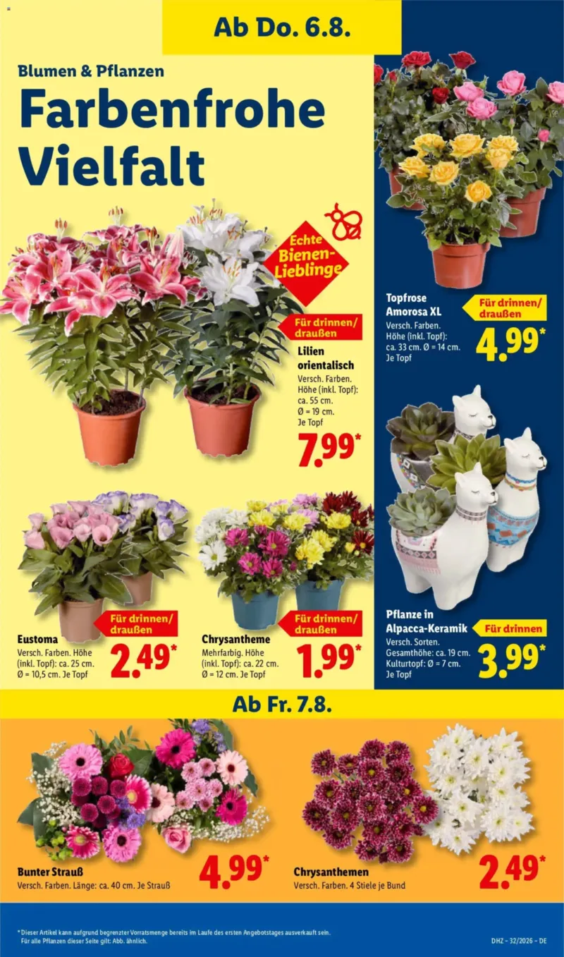 Lidl Prospekt vom 03.08.2026, Seite 7