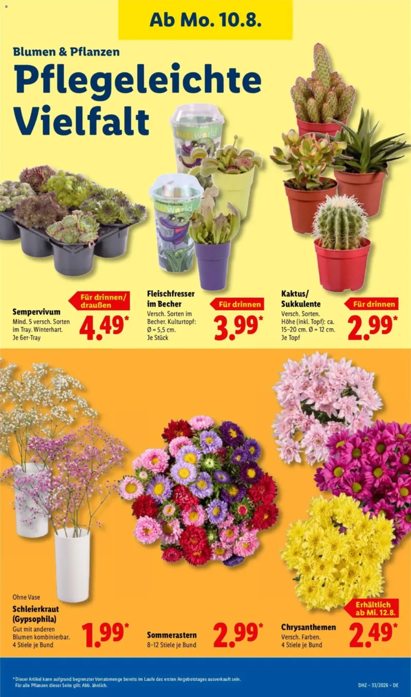 Lidl Prospekt vom 10.08.2026, Seite 23