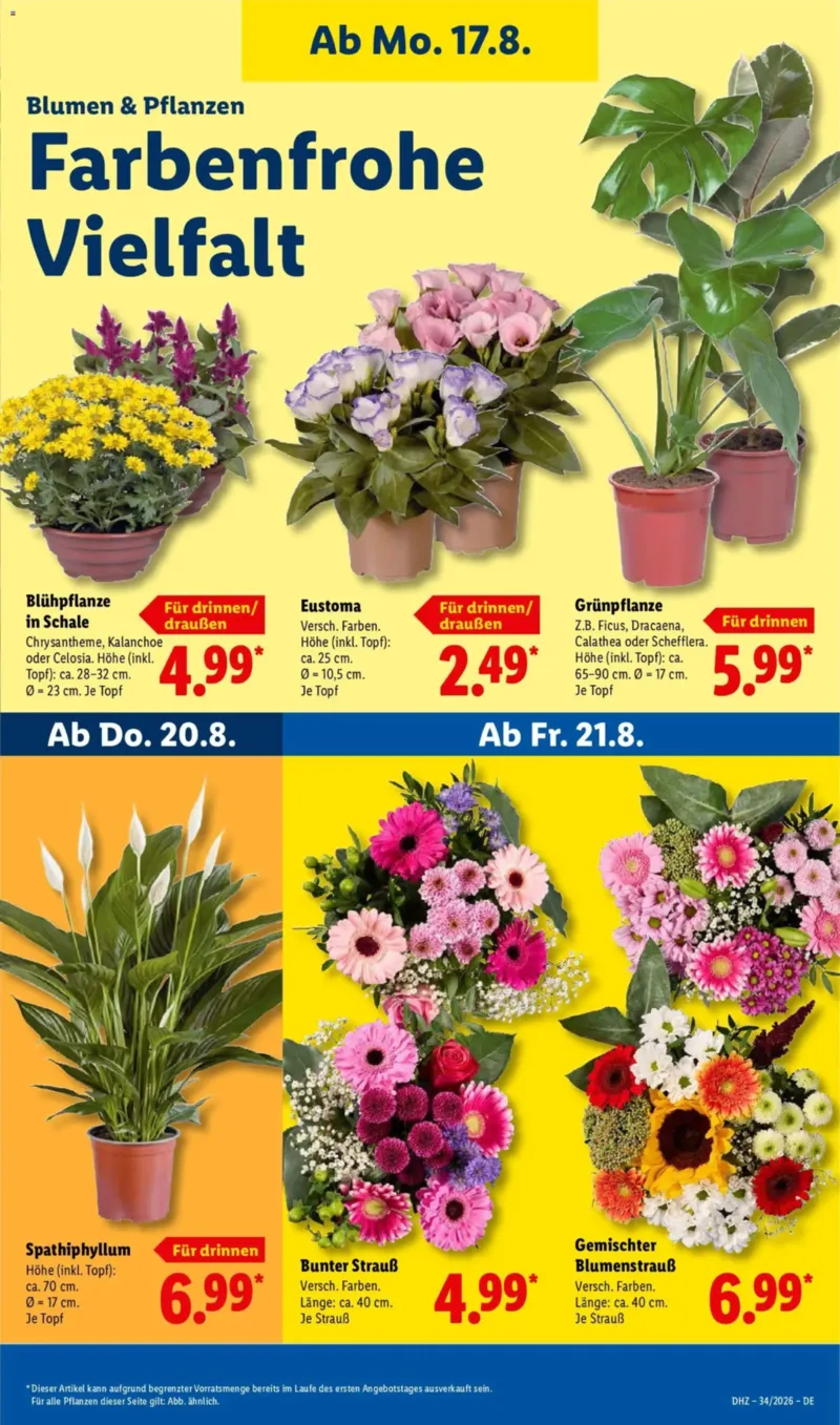 Lidl Prospekt vom 17.08.2026, Seite 25