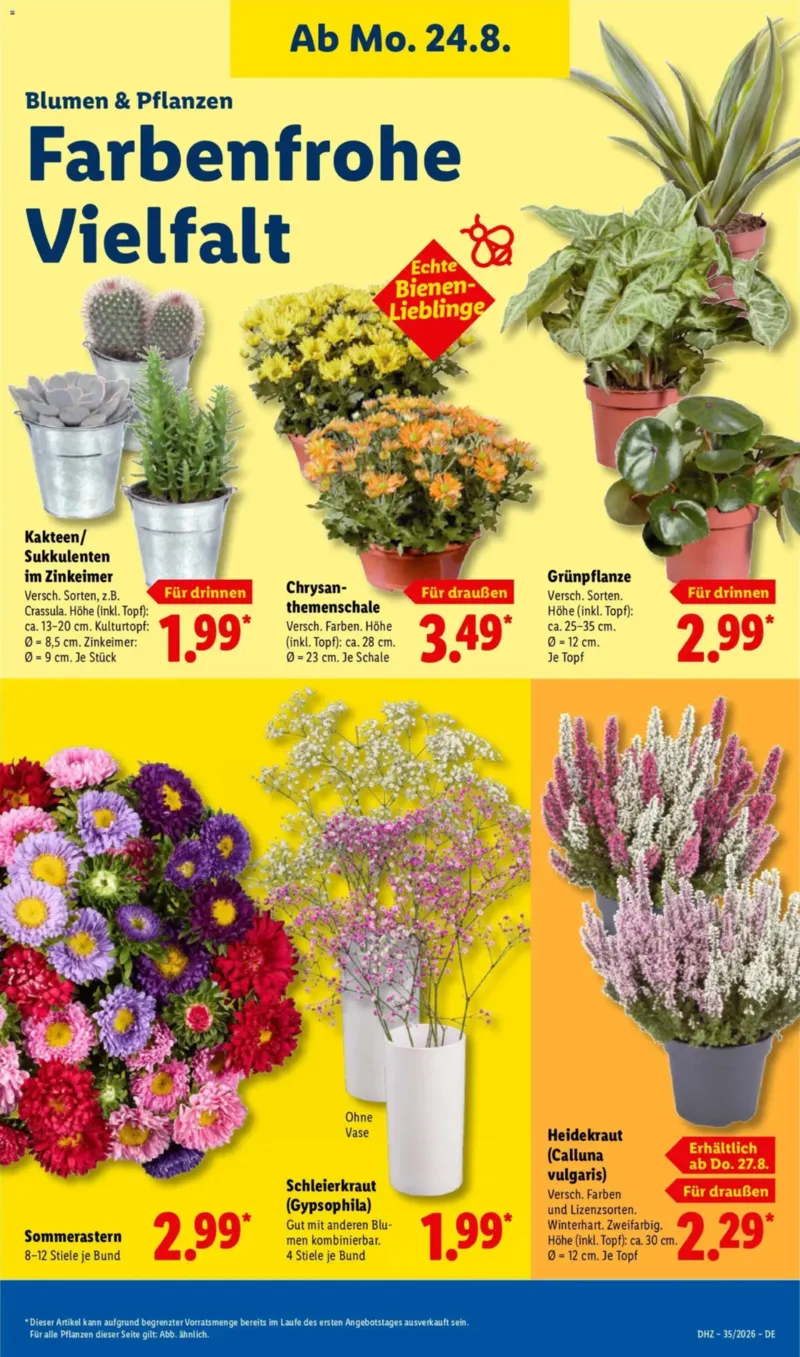 Lidl Prospekt vom 24.08.2026, Seite 15