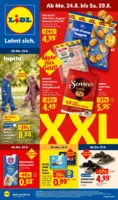 Lidl Prospekt nächster Woche