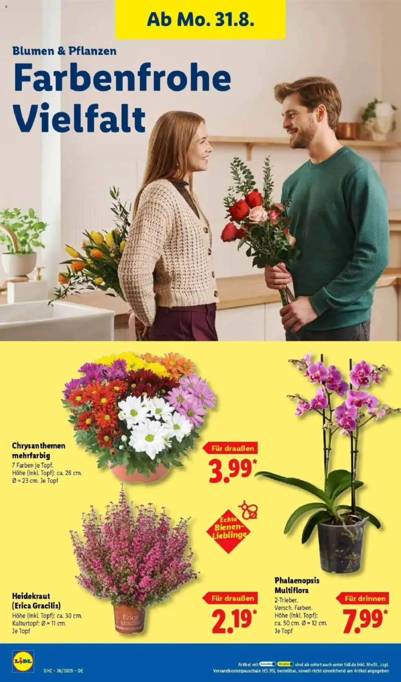 Lidl Prospekt vom 31.08.2026, Seite 26